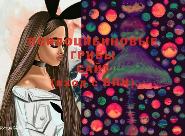 mix Абаза