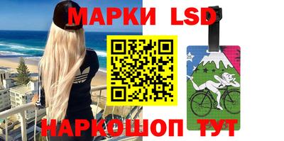 шишки Тверь