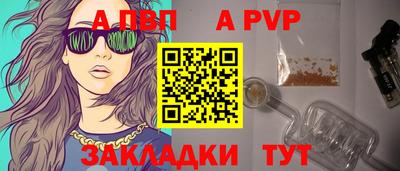 шишки Тверь