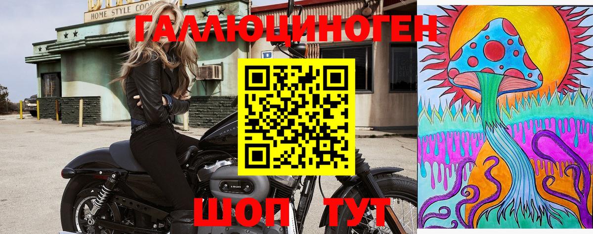 Галлюциногенные грибы Cubensis  Вход с VPN  Старая Русса  Псилоцибиновые грибы Psilocybe 