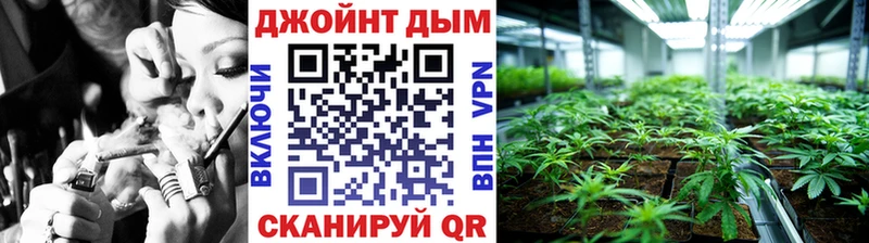 купить Старая Русса Канабис VHQ